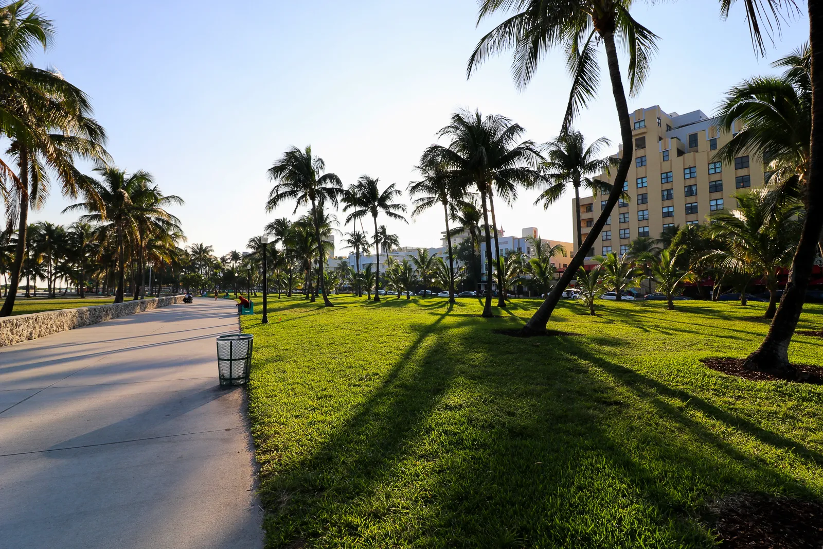 South Beach Park in Miami Beach – Palmen und Grün unter blauem Himmel