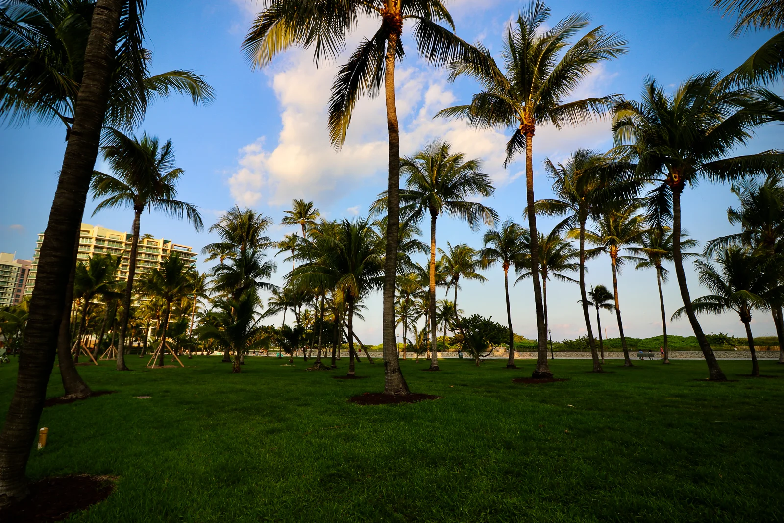 Miami Beach – IMG_0695