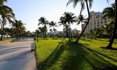 South Beach Park in Miami Beach – Palmen und Grün unter blauem Himmel